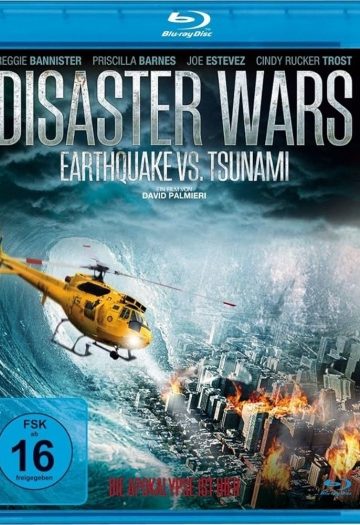 Tsunami202013.jpg